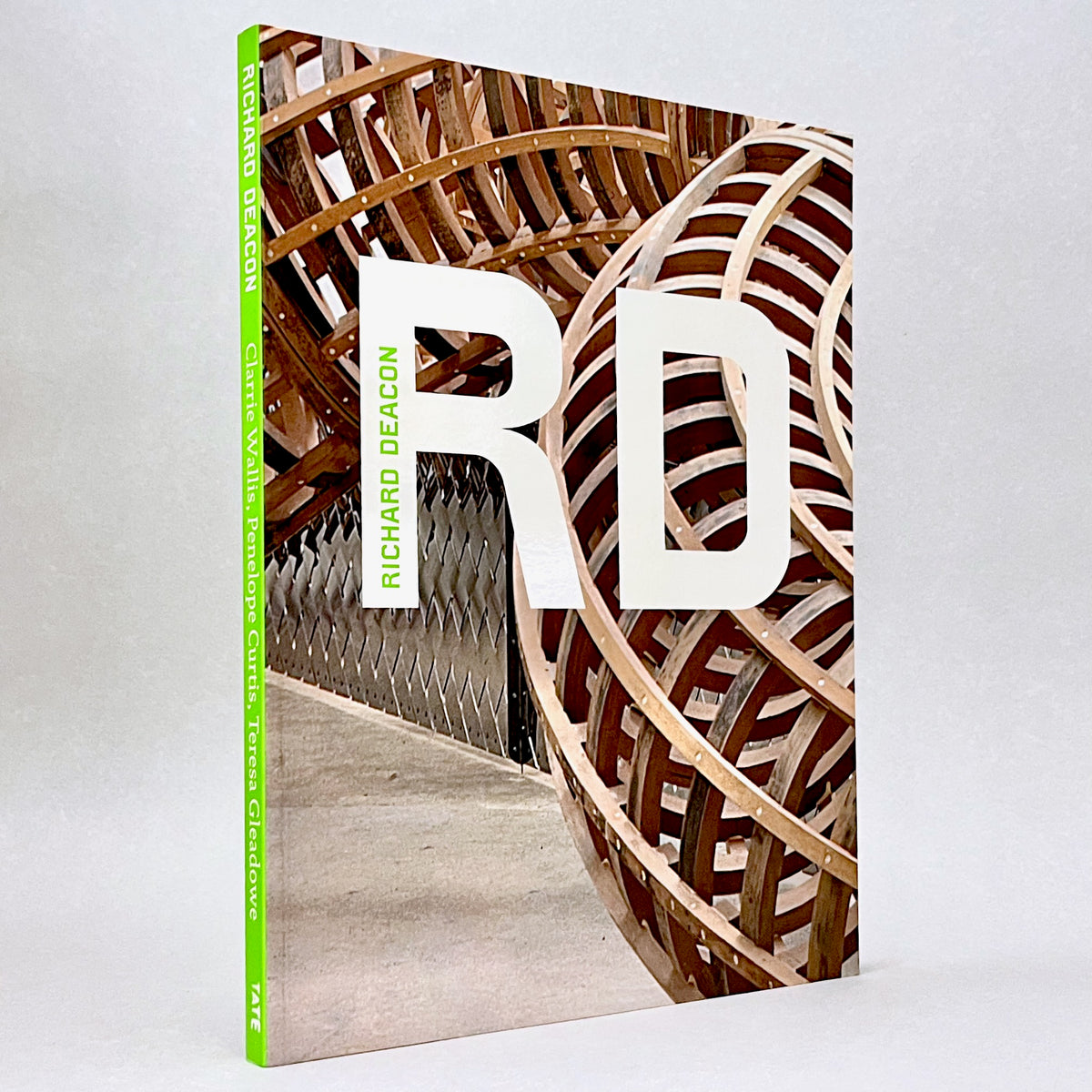 Richard Deacon (Modern Artists series)