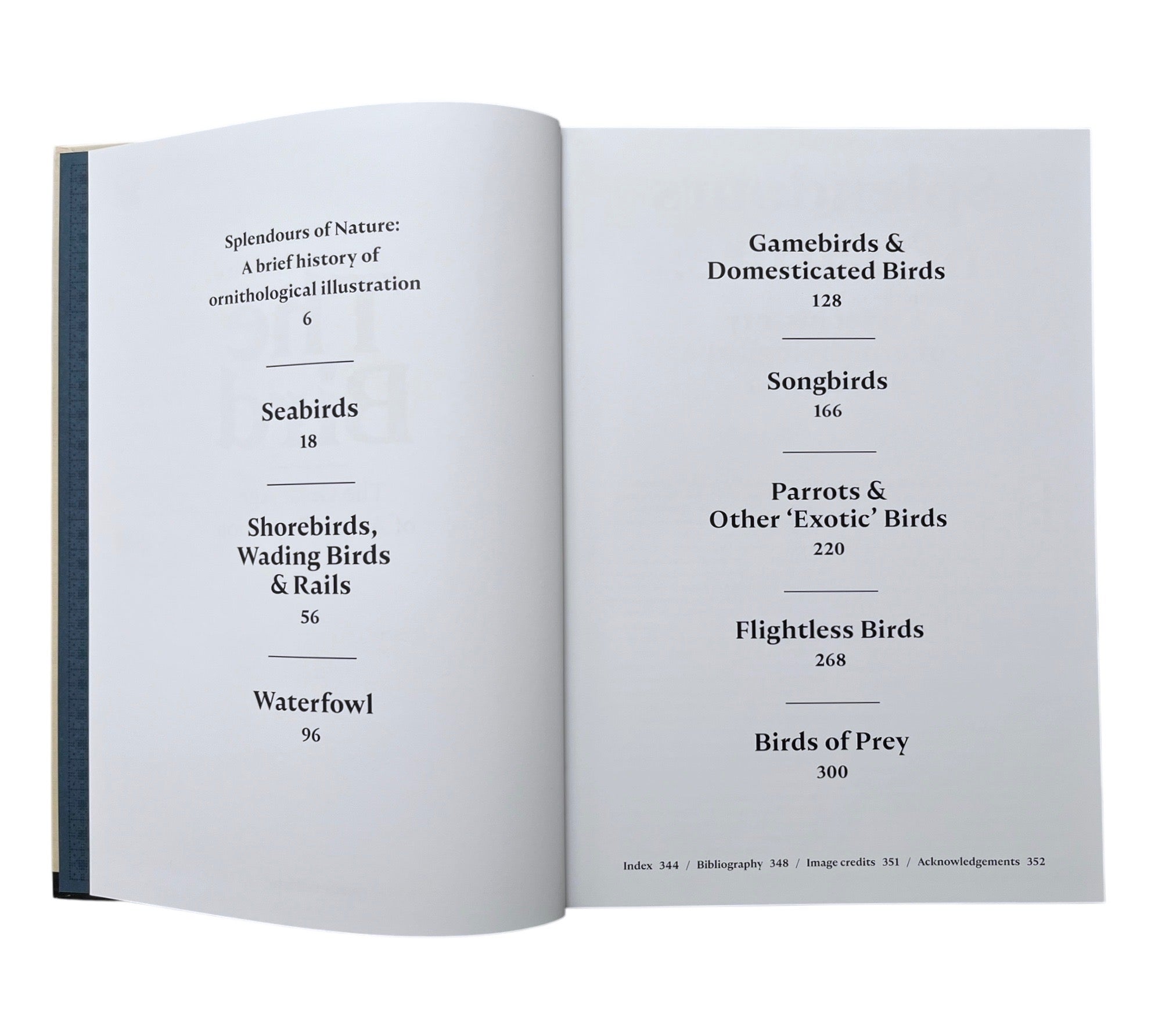 The Bird: The Great Age of Avian Illustration