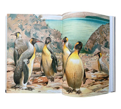 The Bird: The Great Age of Avian Illustration