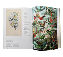 The Bird: The Great Age of Avian Illustration