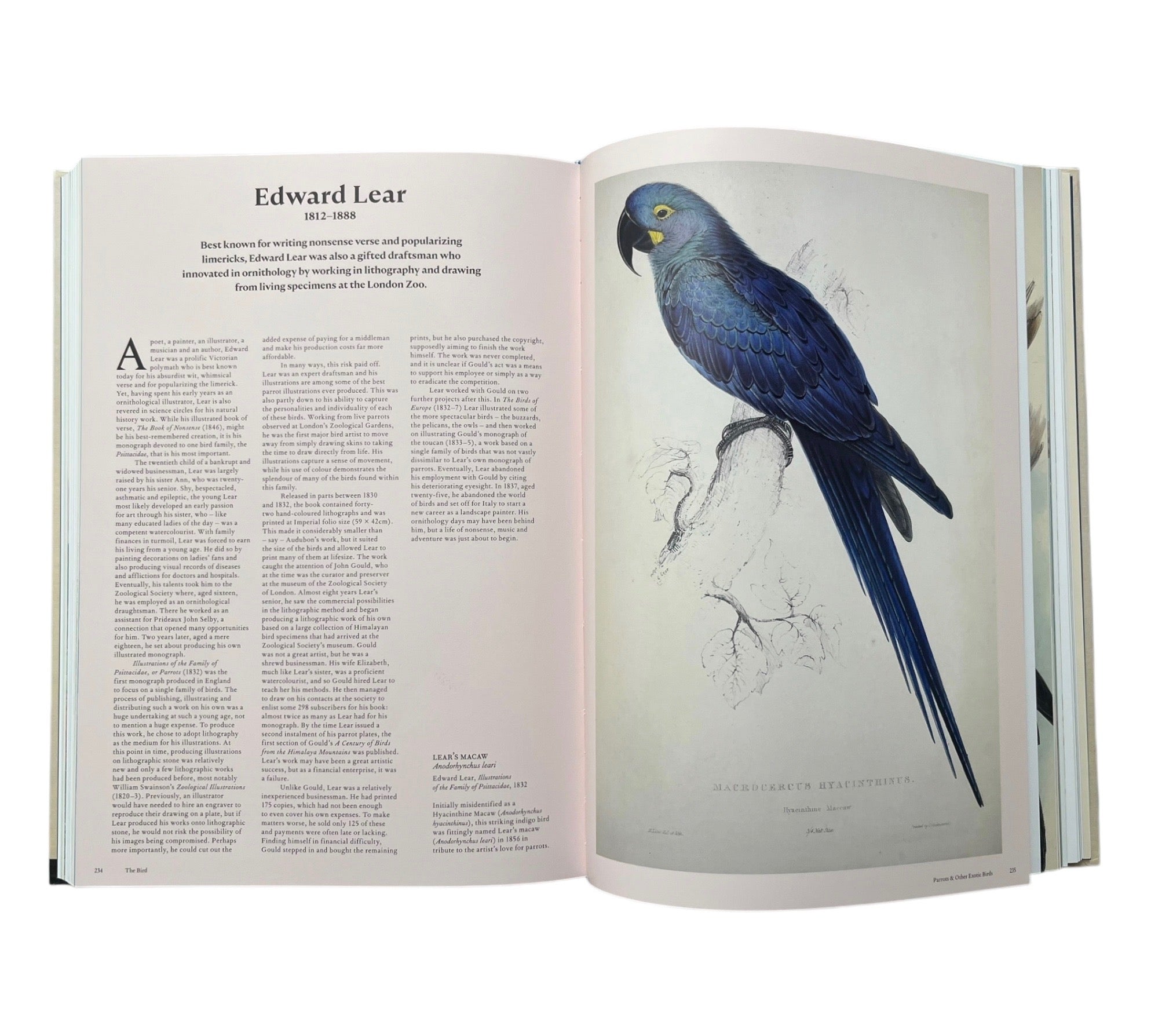 The Bird: The Great Age of Avian Illustration