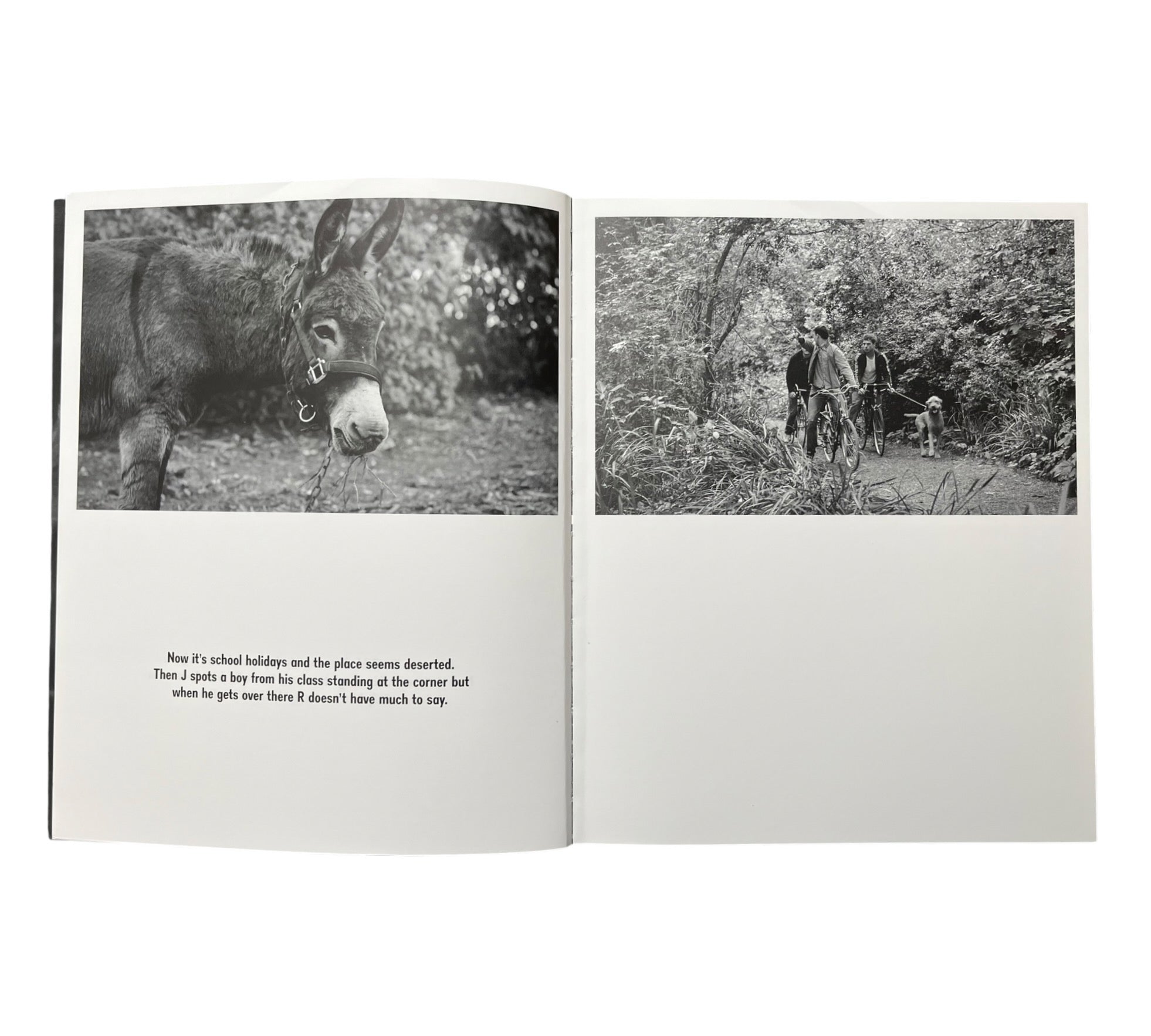 Sarah Dobai: The Donkey Field