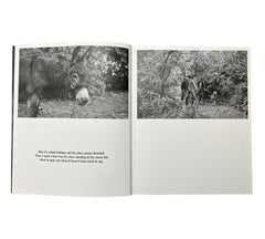 Sarah Dobai: The Donkey Field
