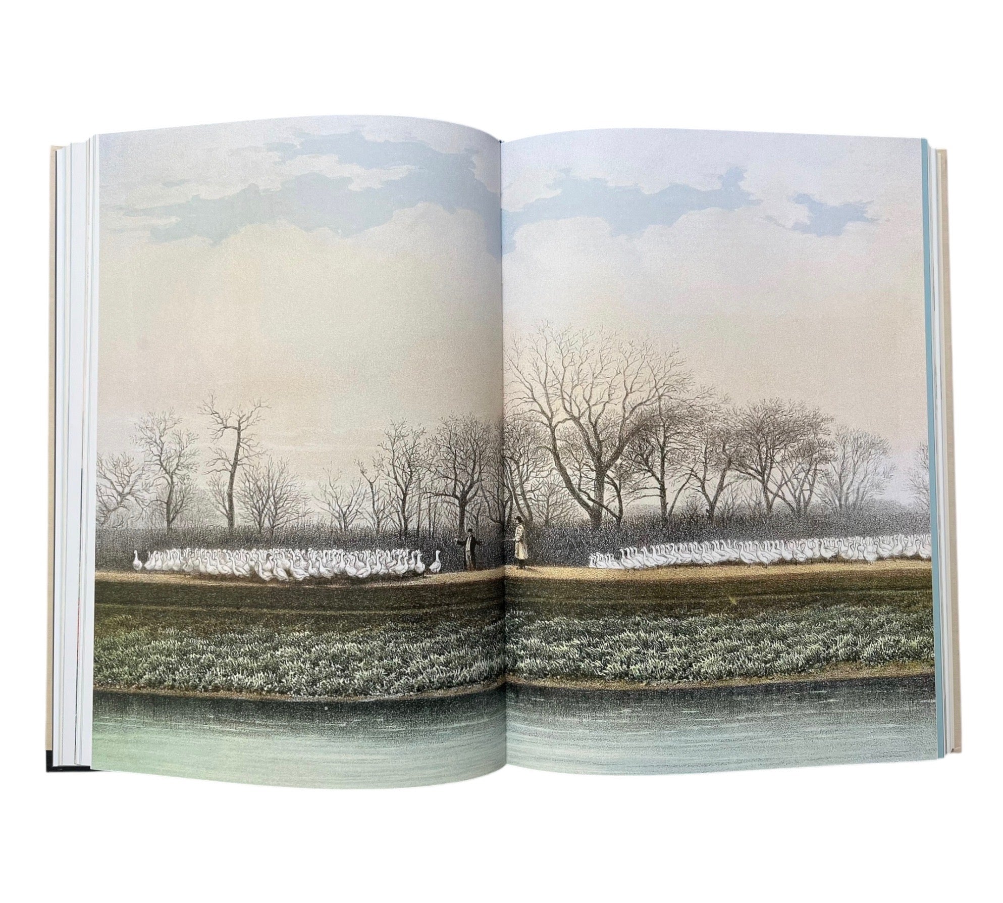 The Bird: The Great Age of Avian Illustration