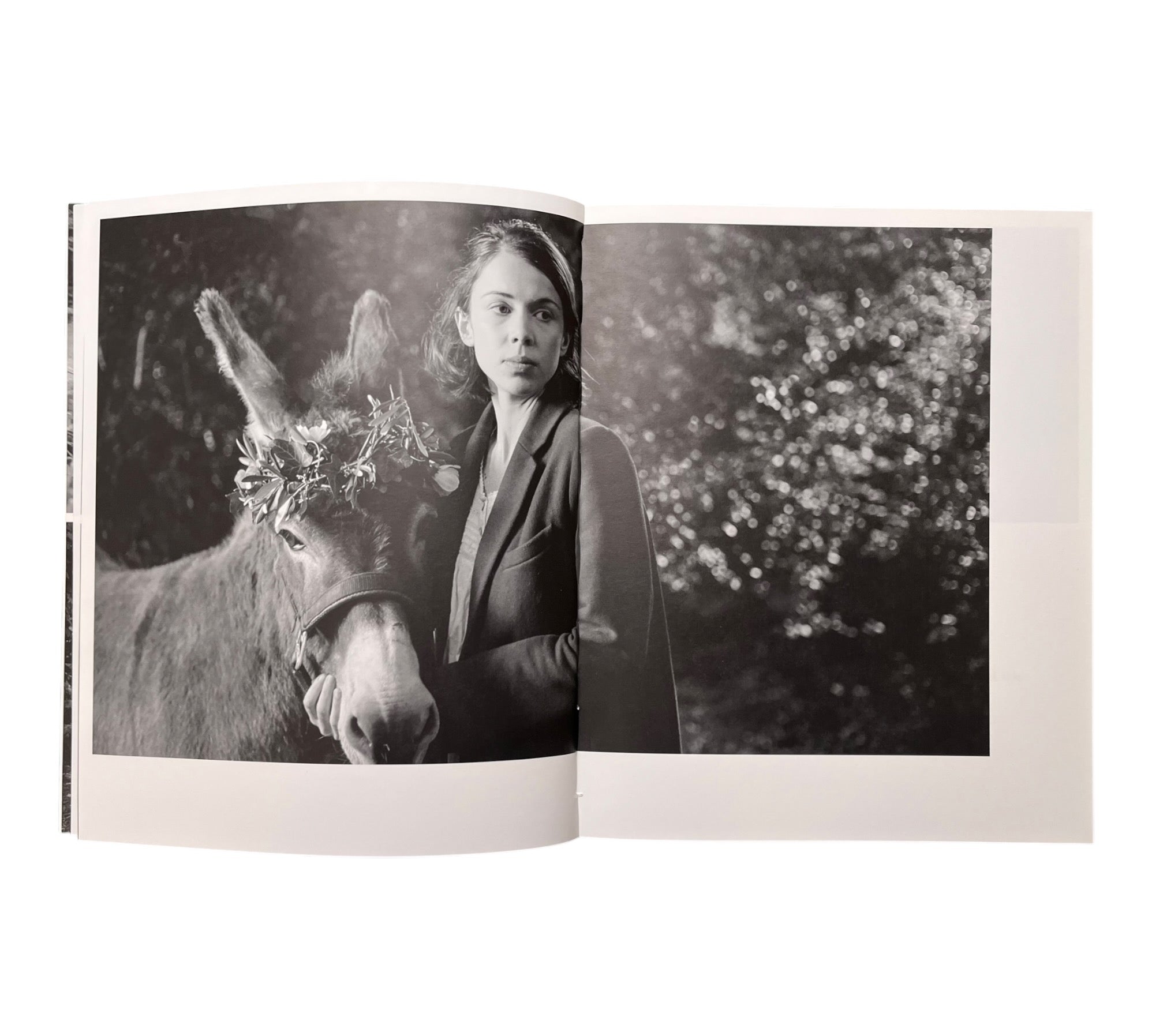 Sarah Dobai: The Donkey Field