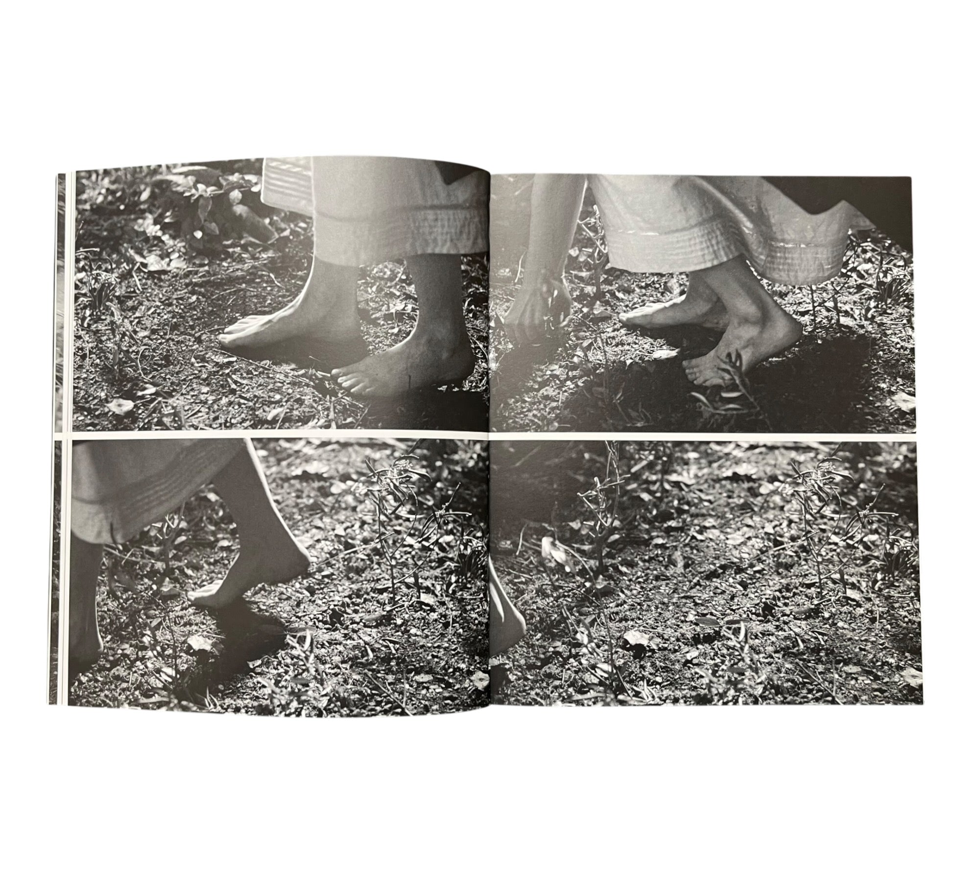 Sarah Dobai: The Donkey Field