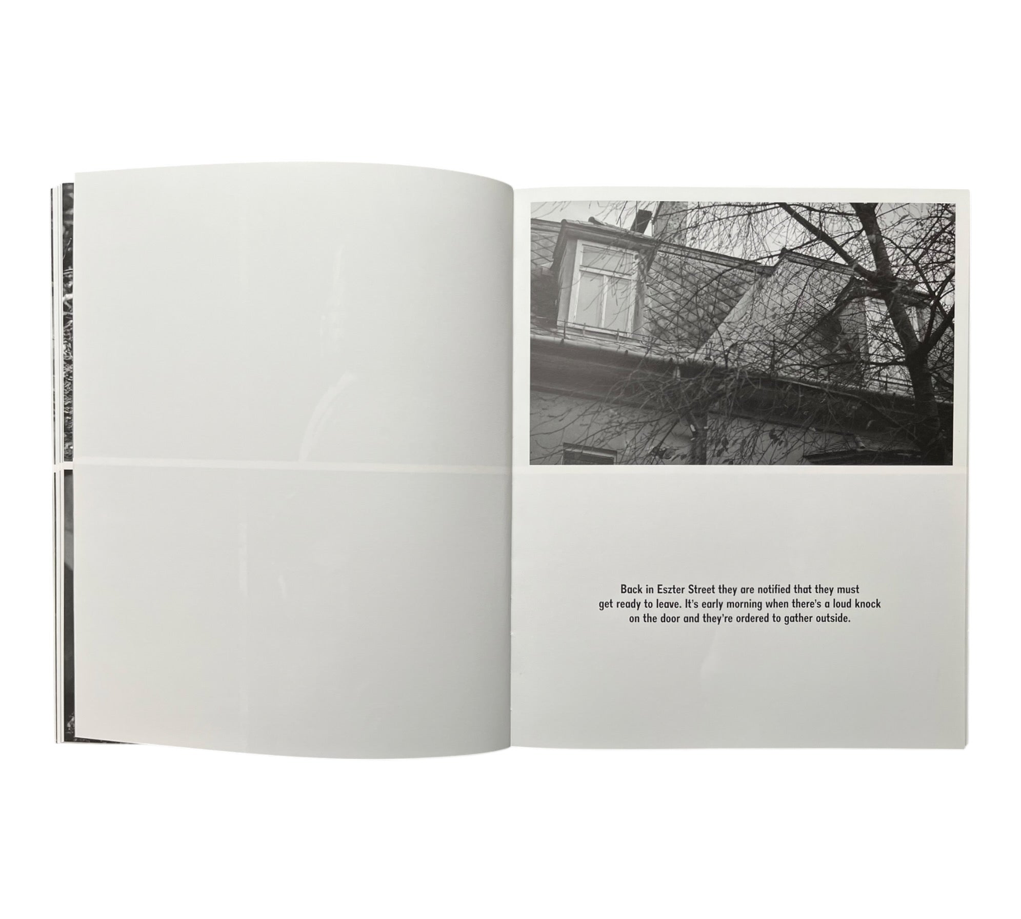 Sarah Dobai: The Donkey Field