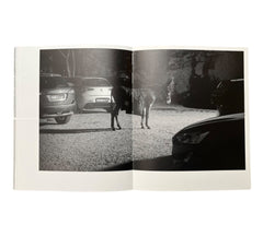 Sarah Dobai: The Donkey Field