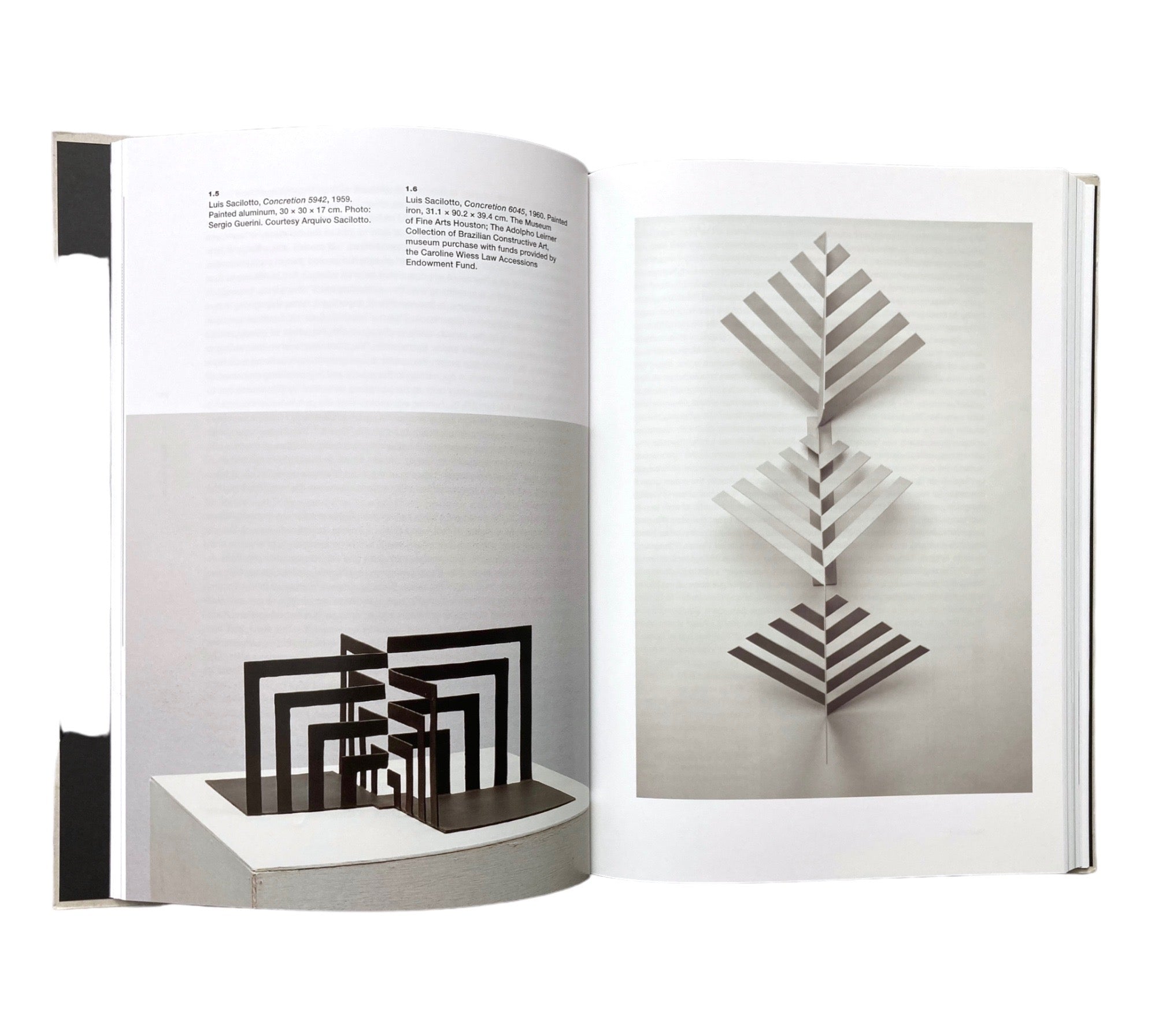 Constructing an Avant-Garde: Art in Brazil, 1949-1979