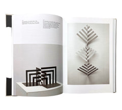 Constructing an Avant-Garde: Art in Brazil, 1949-1979