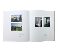 Gerhard Richter: Landscape