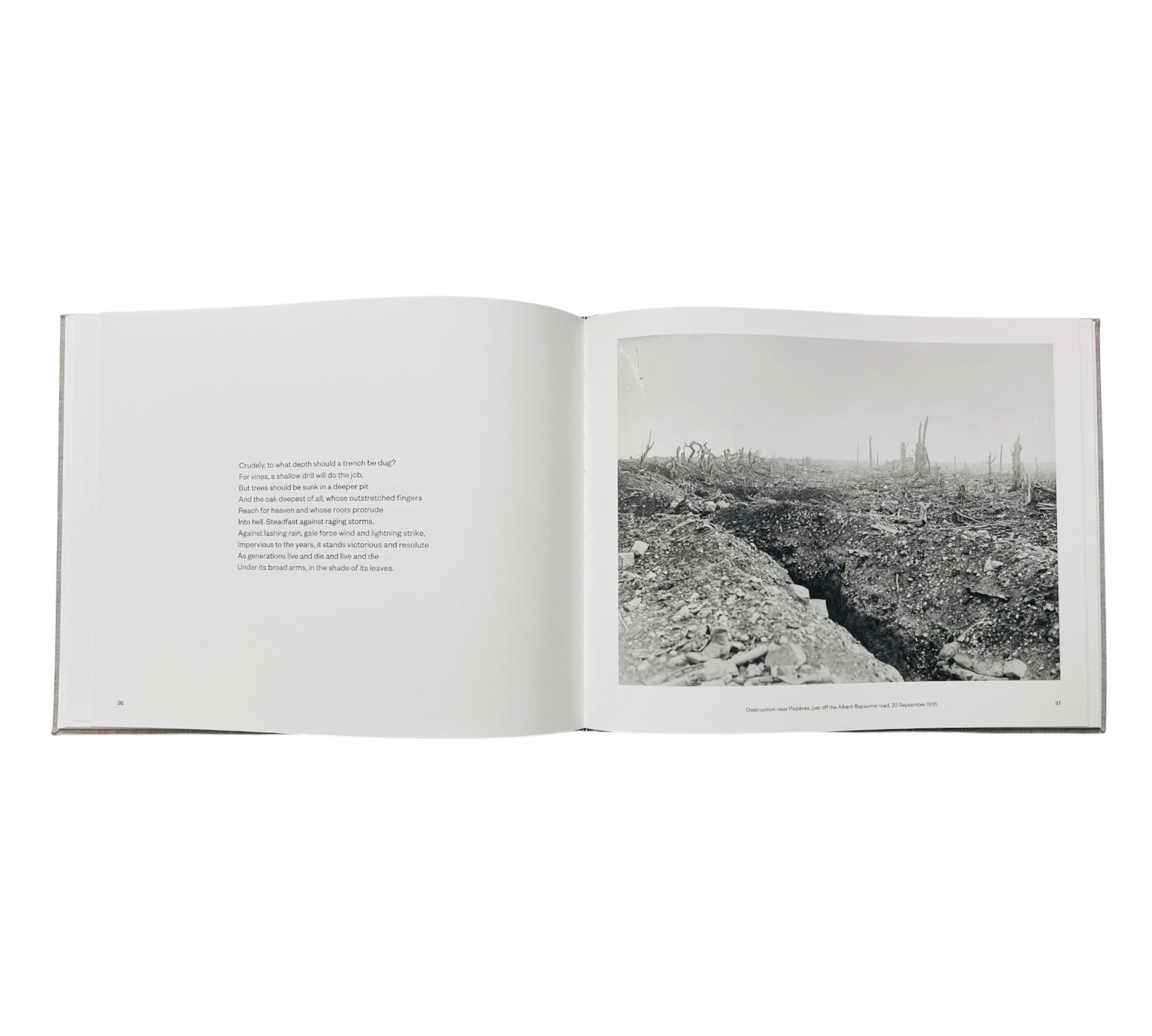 Simon Armitage: Still - A Poetic Response to Photographs of the Somme Battlefield