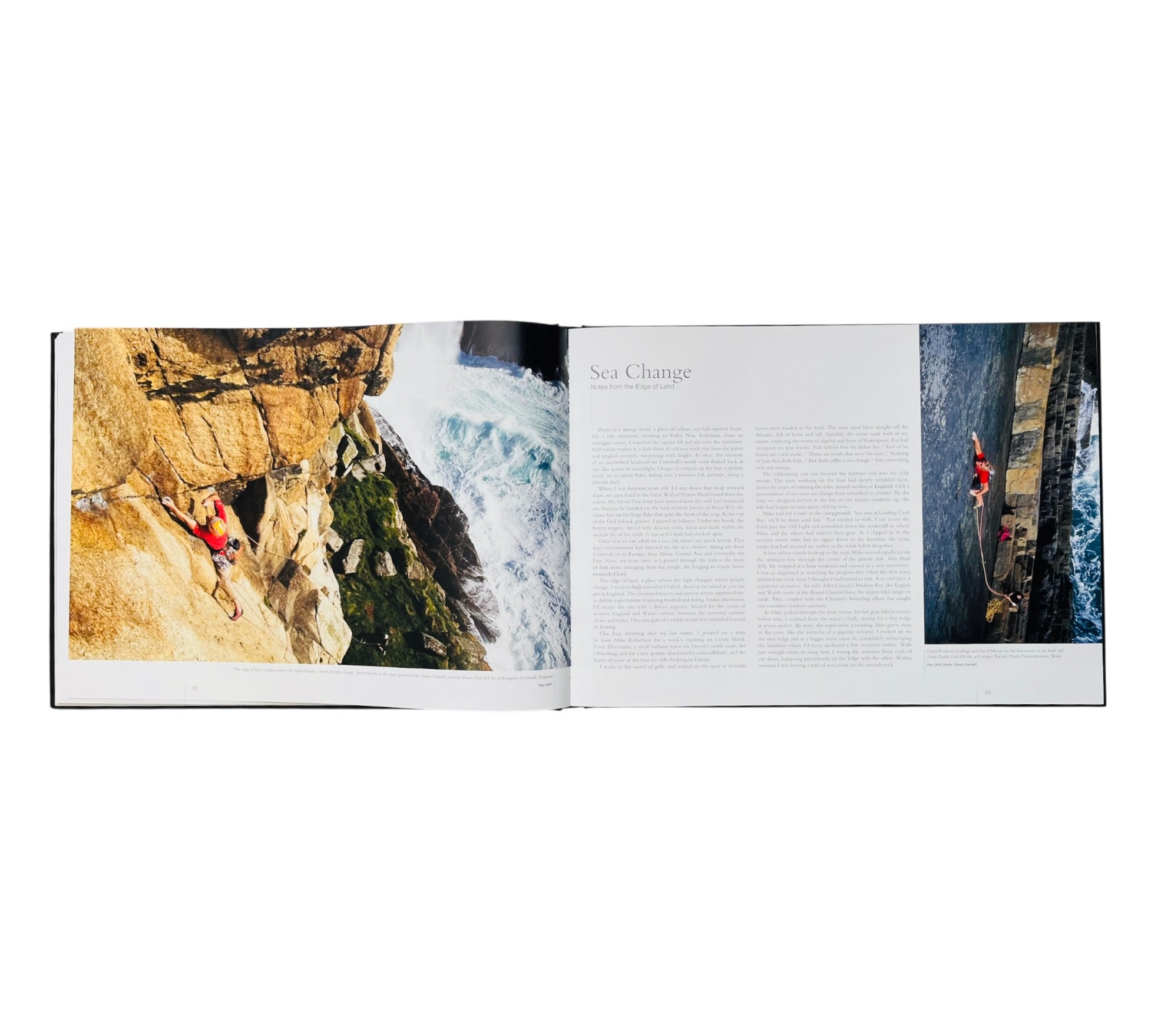 David Pickford: The Light Elsewhere - Encounters with the Elemental World