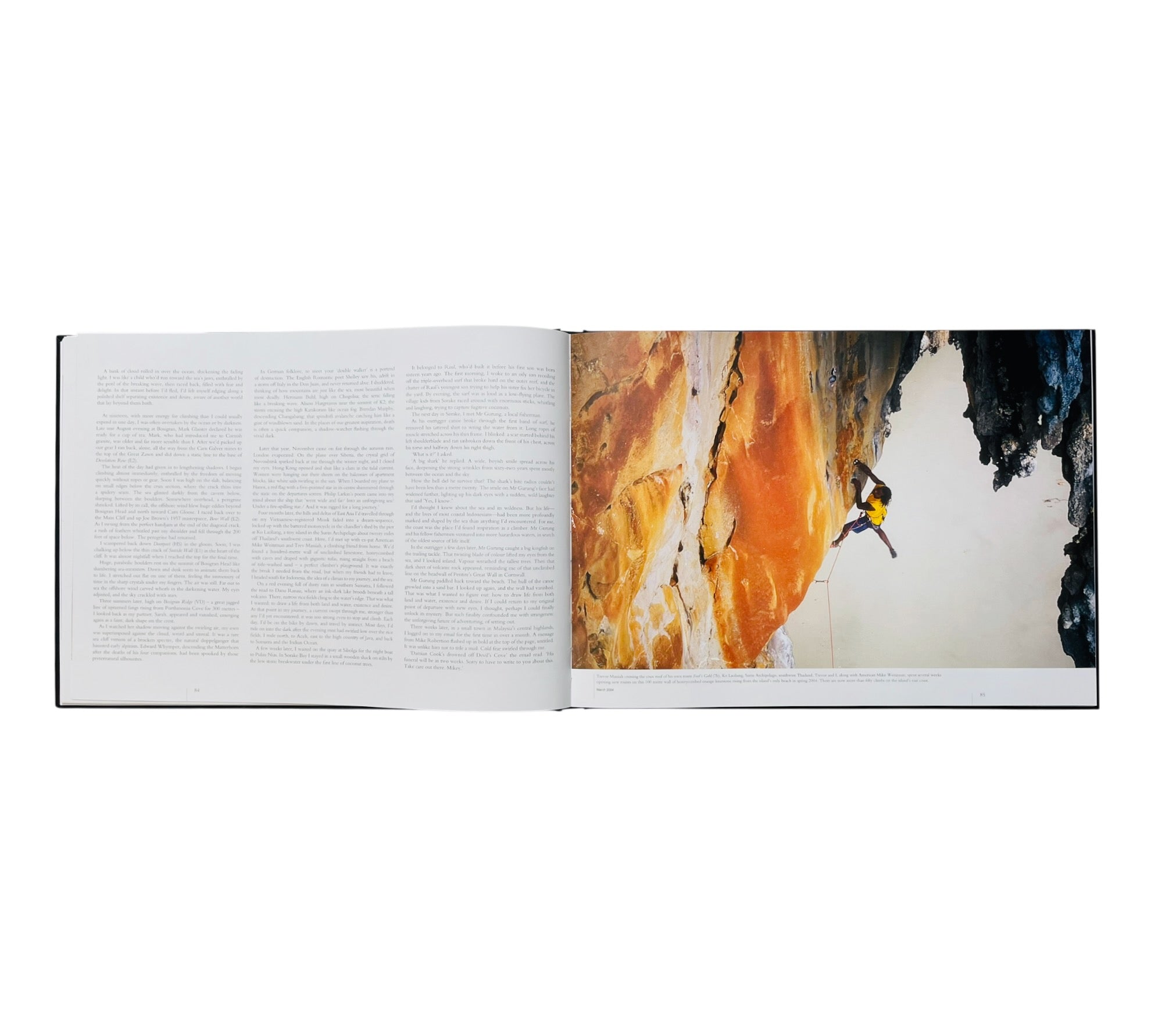 David Pickford: The Light Elsewhere - Encounters with the Elemental World