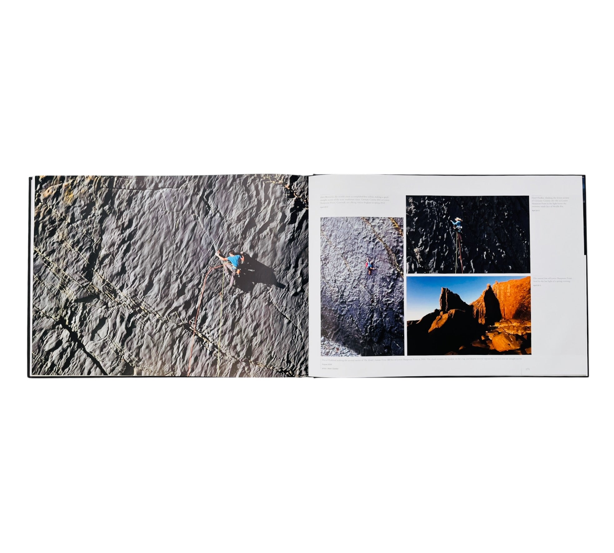 David Pickford: The Light Elsewhere - Encounters with the Elemental World