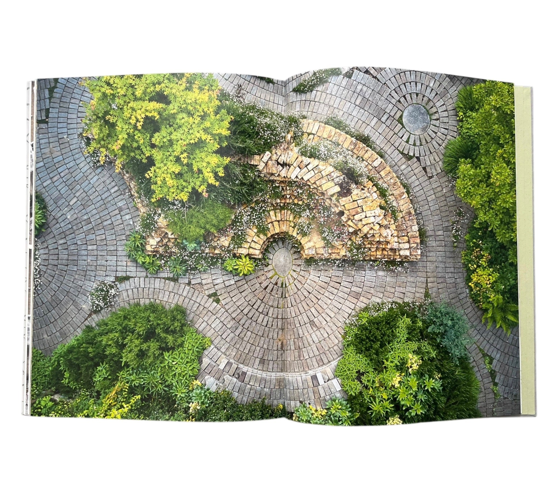 The Orozco Garden at the South London Gallery