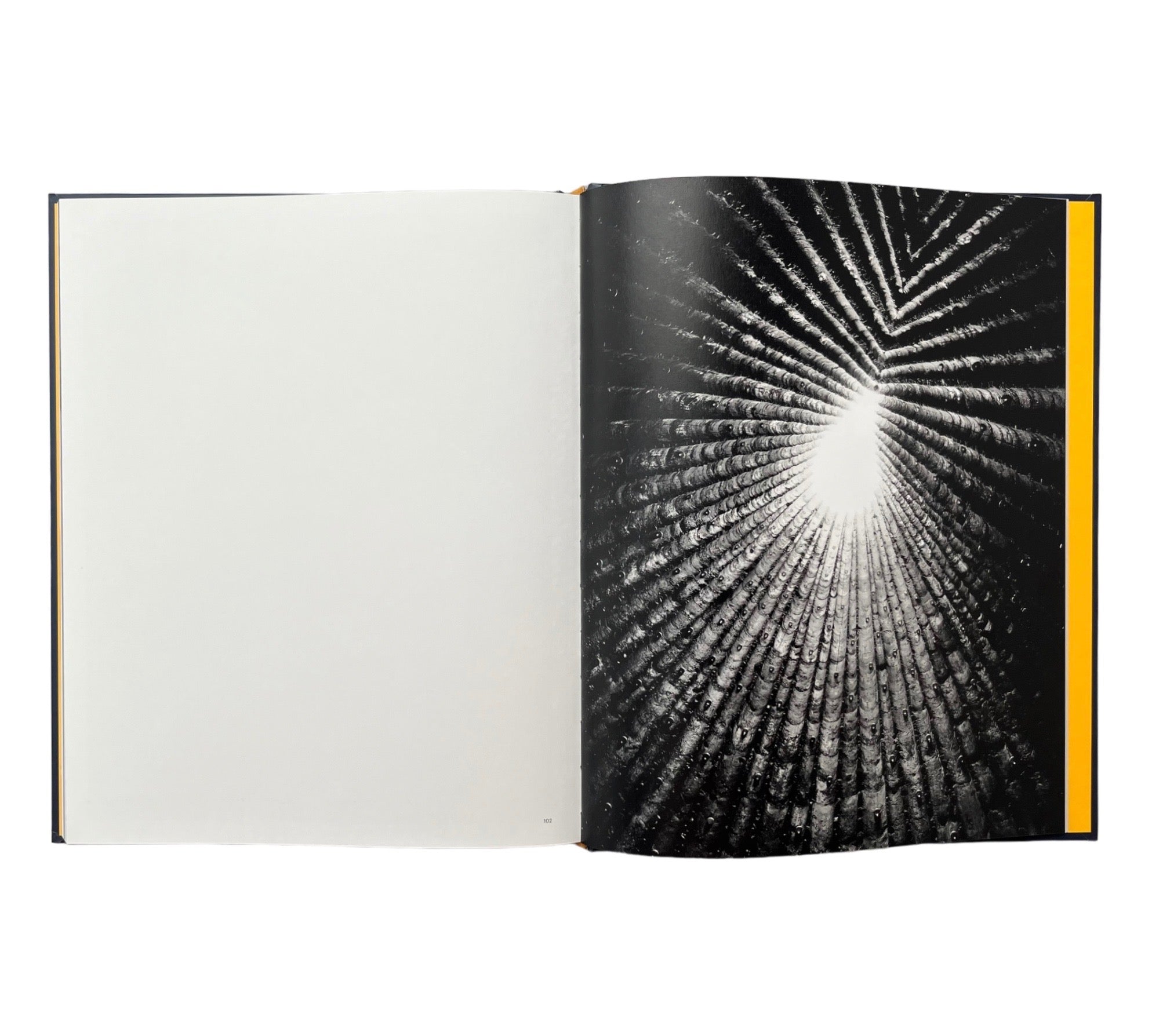 Light Lines: The Architectural Photographs of Hélène Binet