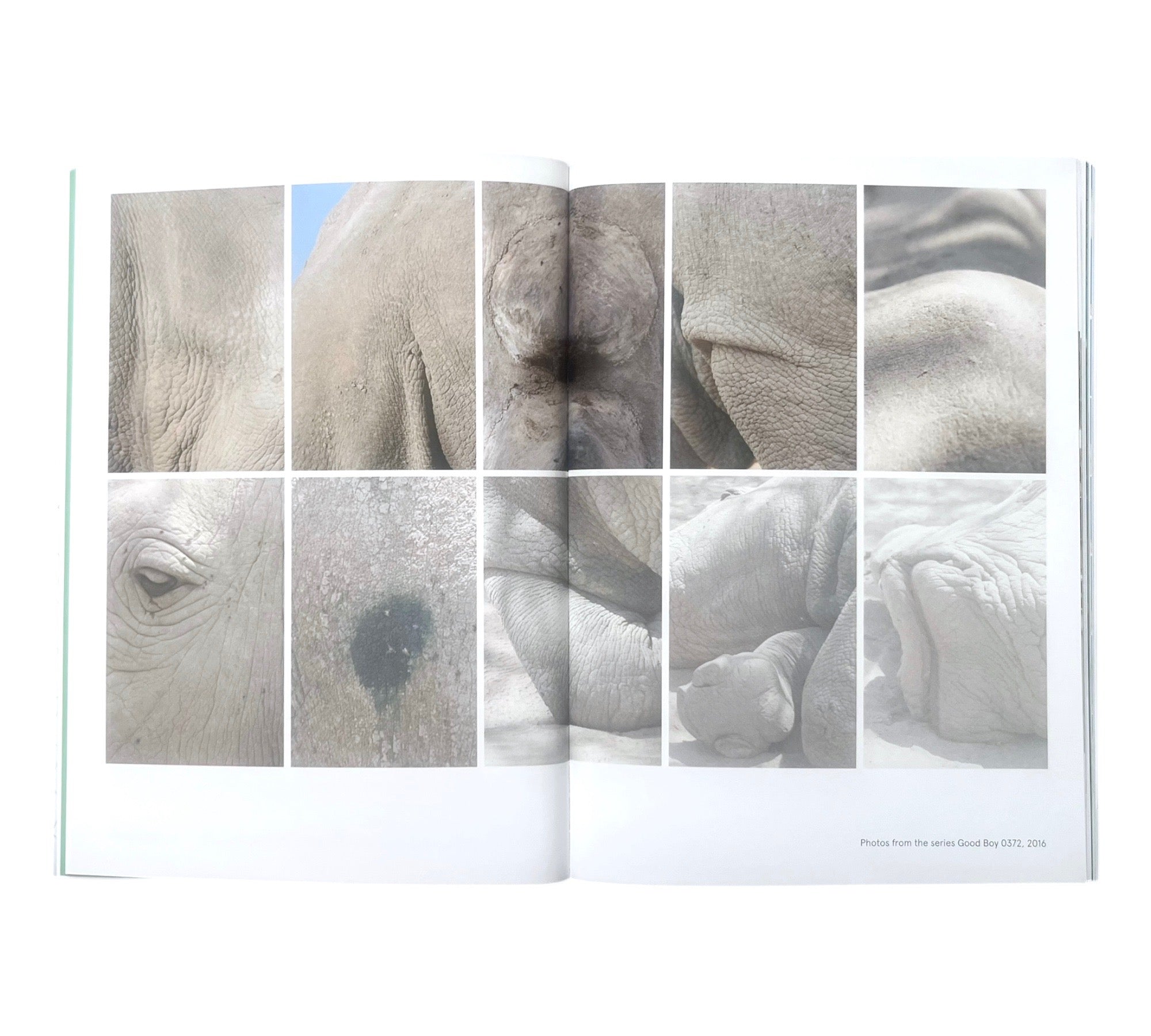 ANIMALS (Photographs That Make You Think)