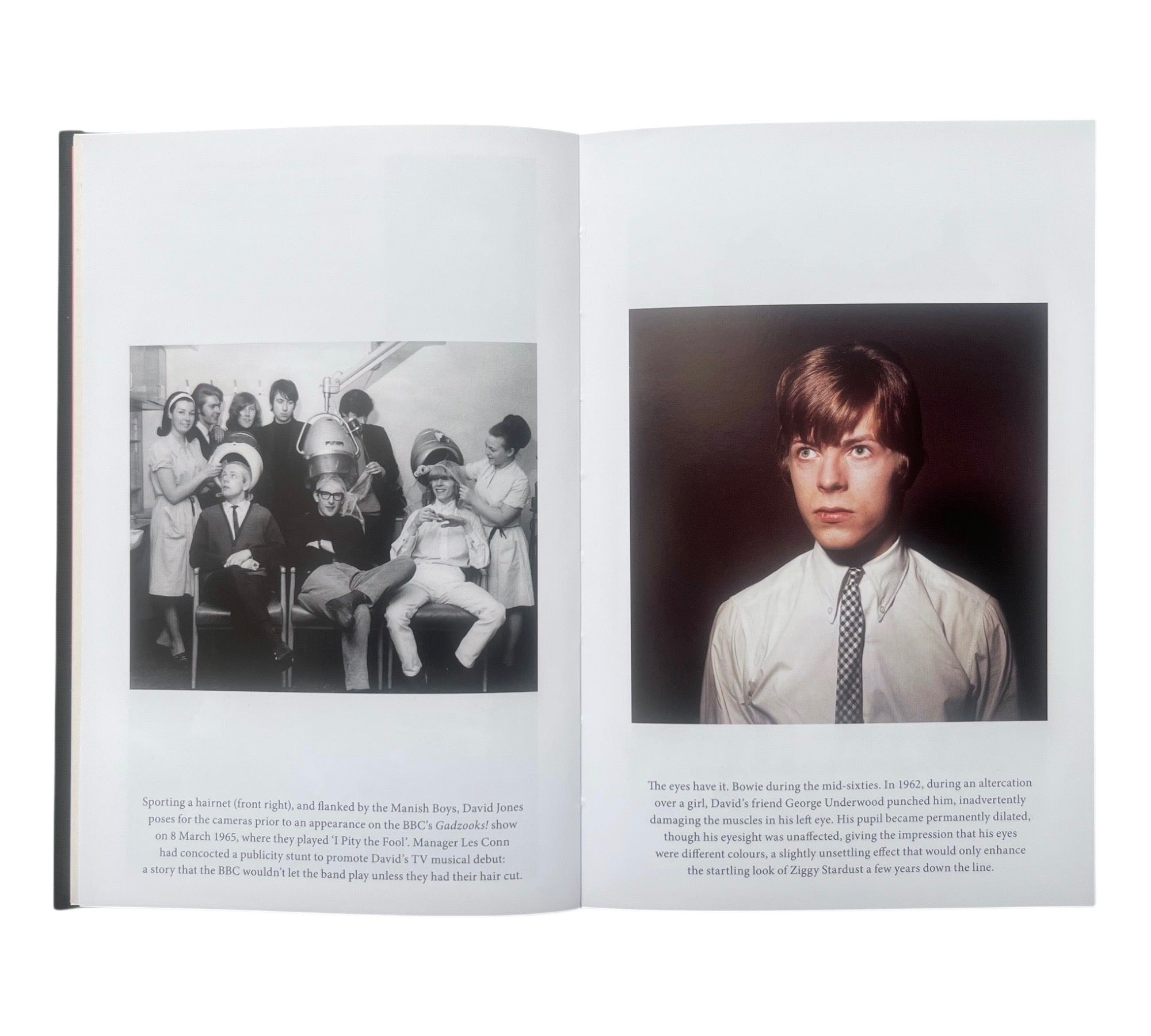 David Bowie (Lives of the Musicians)