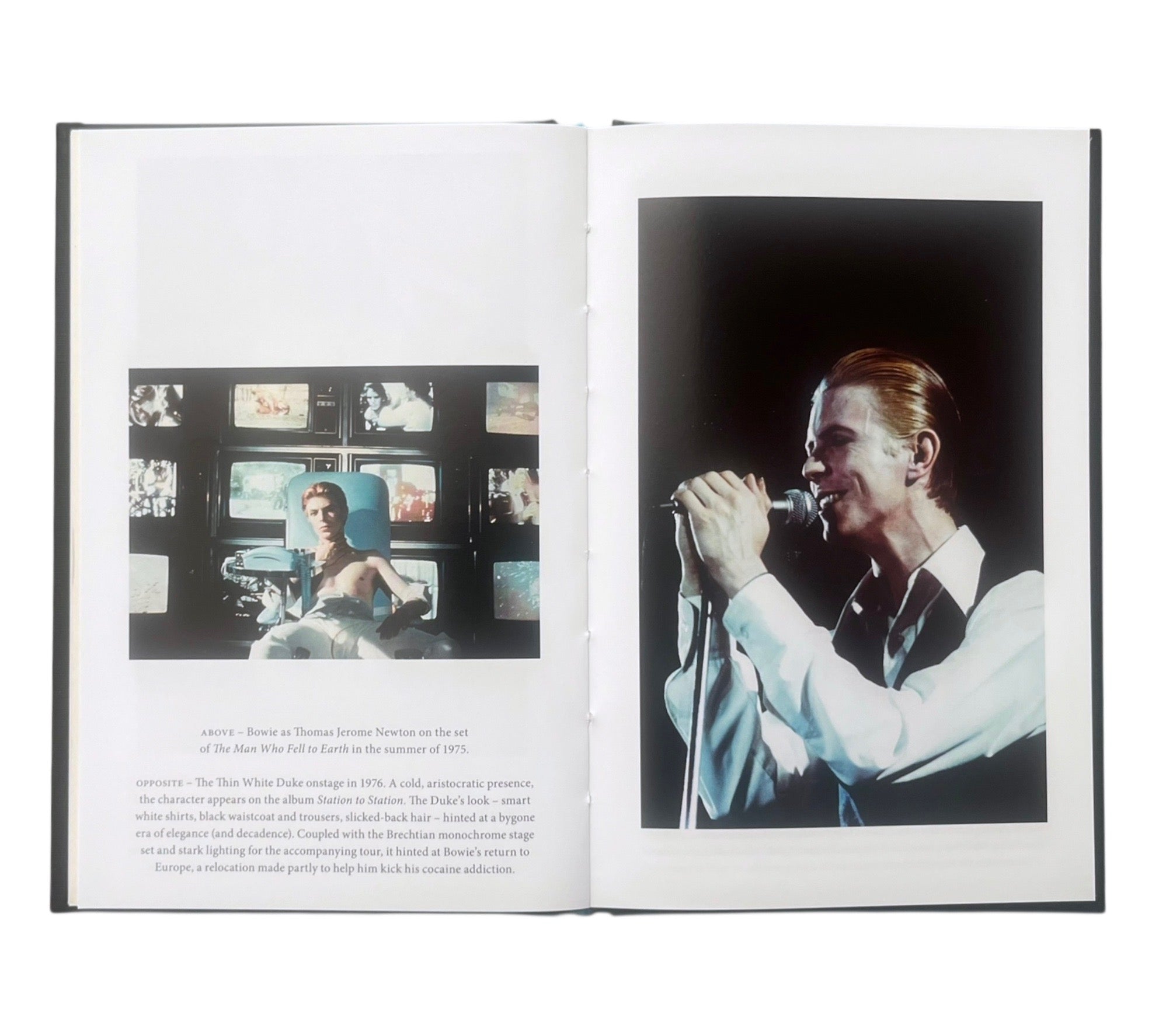 David Bowie (Lives of the Musicians)