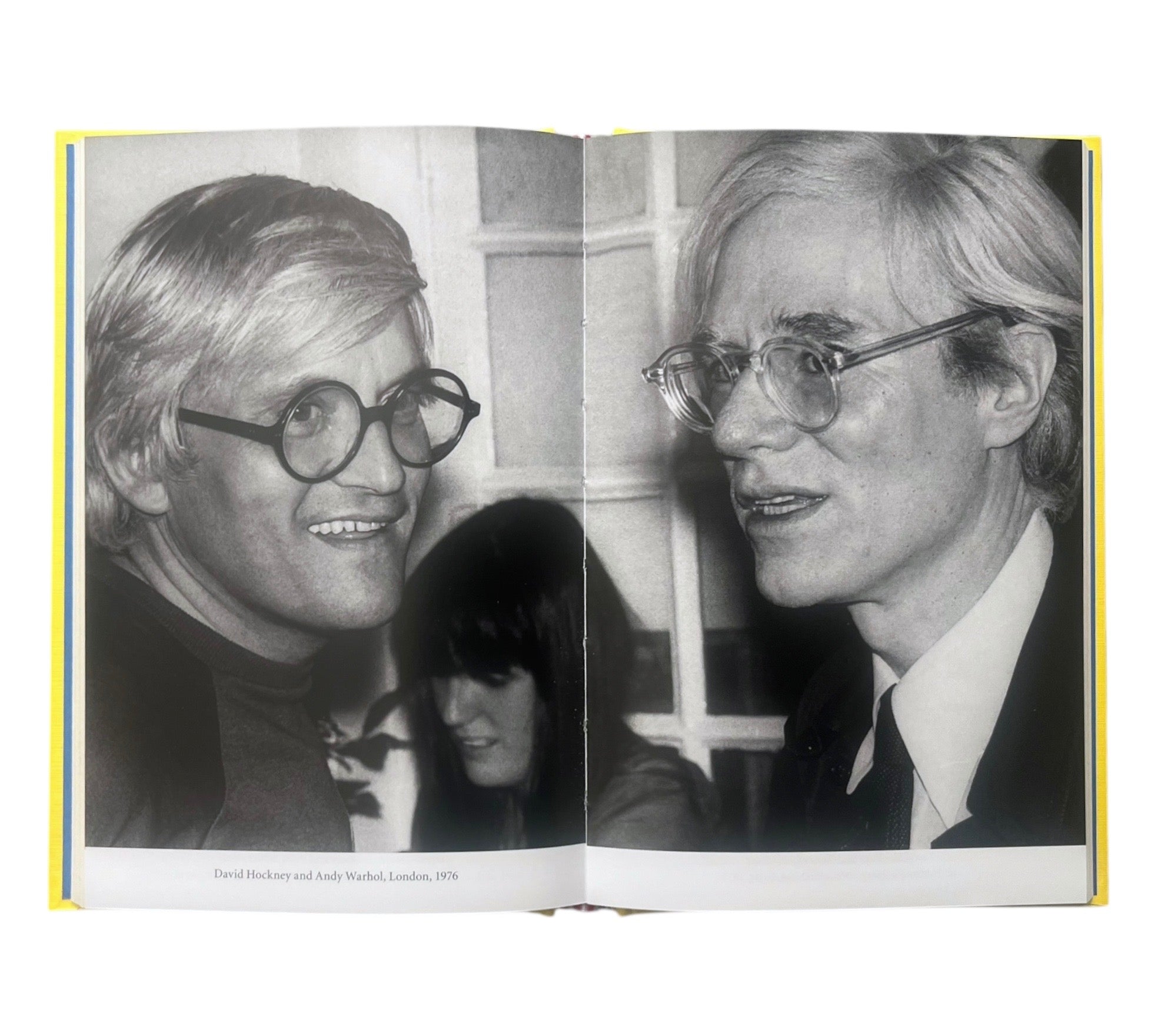 David Hockney (Lives of the Artists)