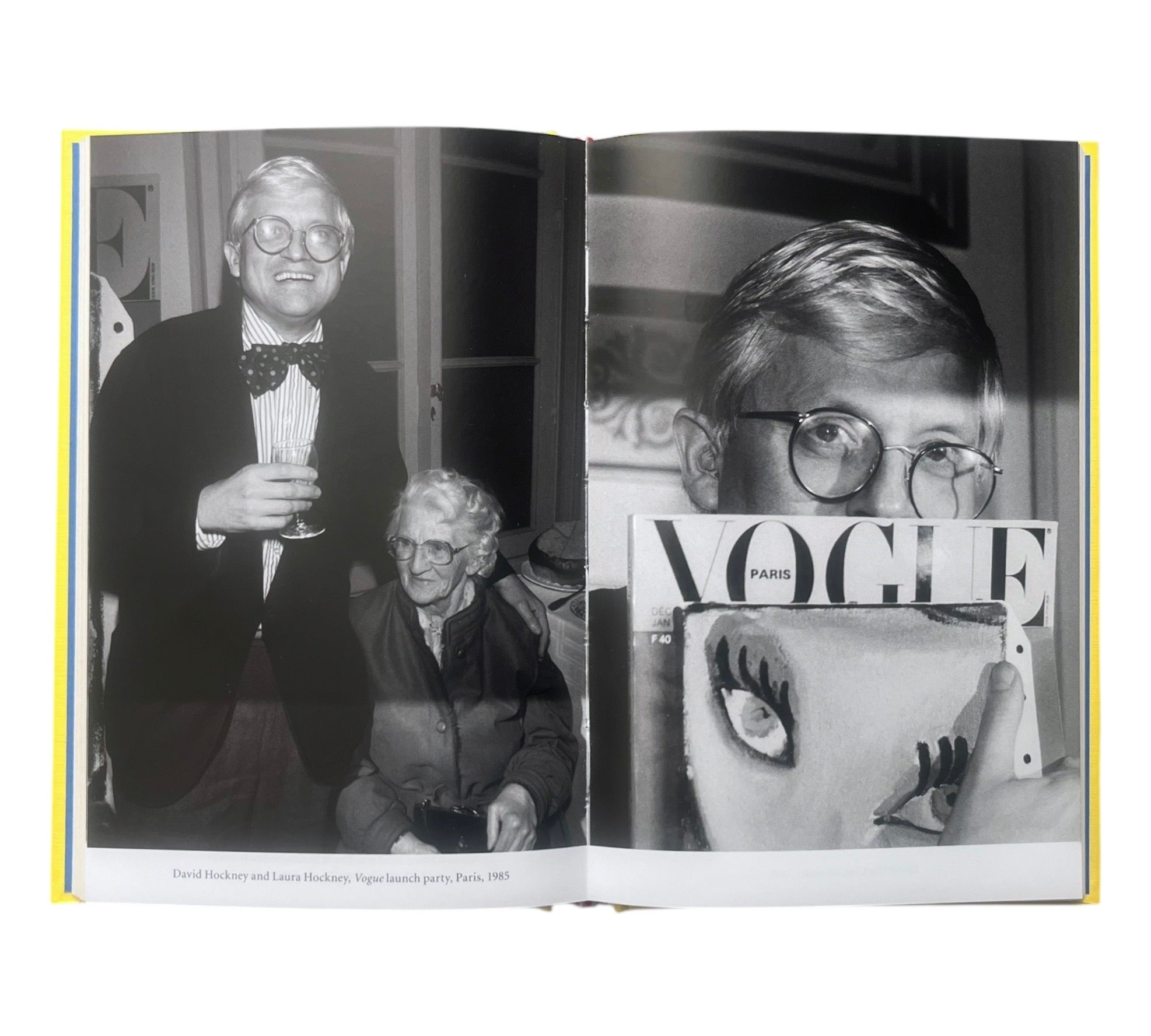 David Hockney (Lives of the Artists)