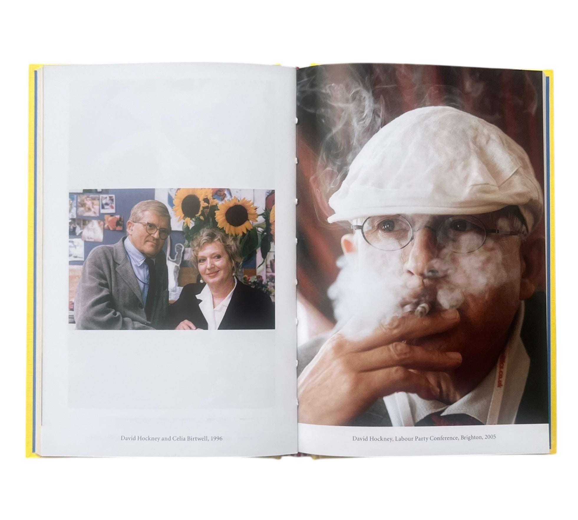 David Hockney (Lives of the Artists)