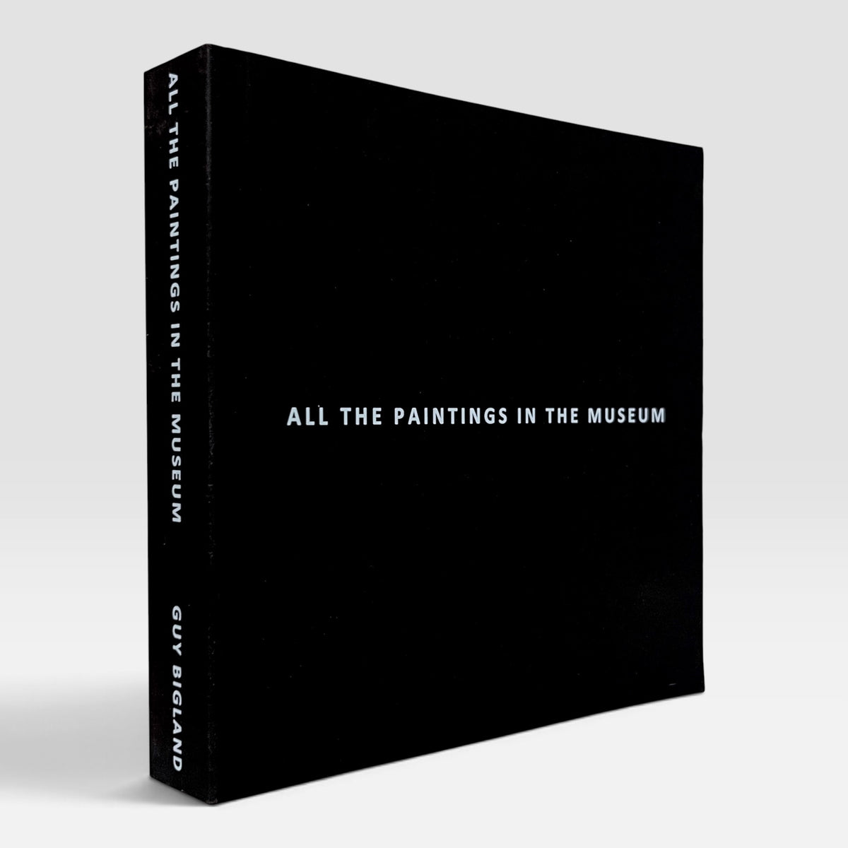 Guy Bigland: All the Paintings in the Museum