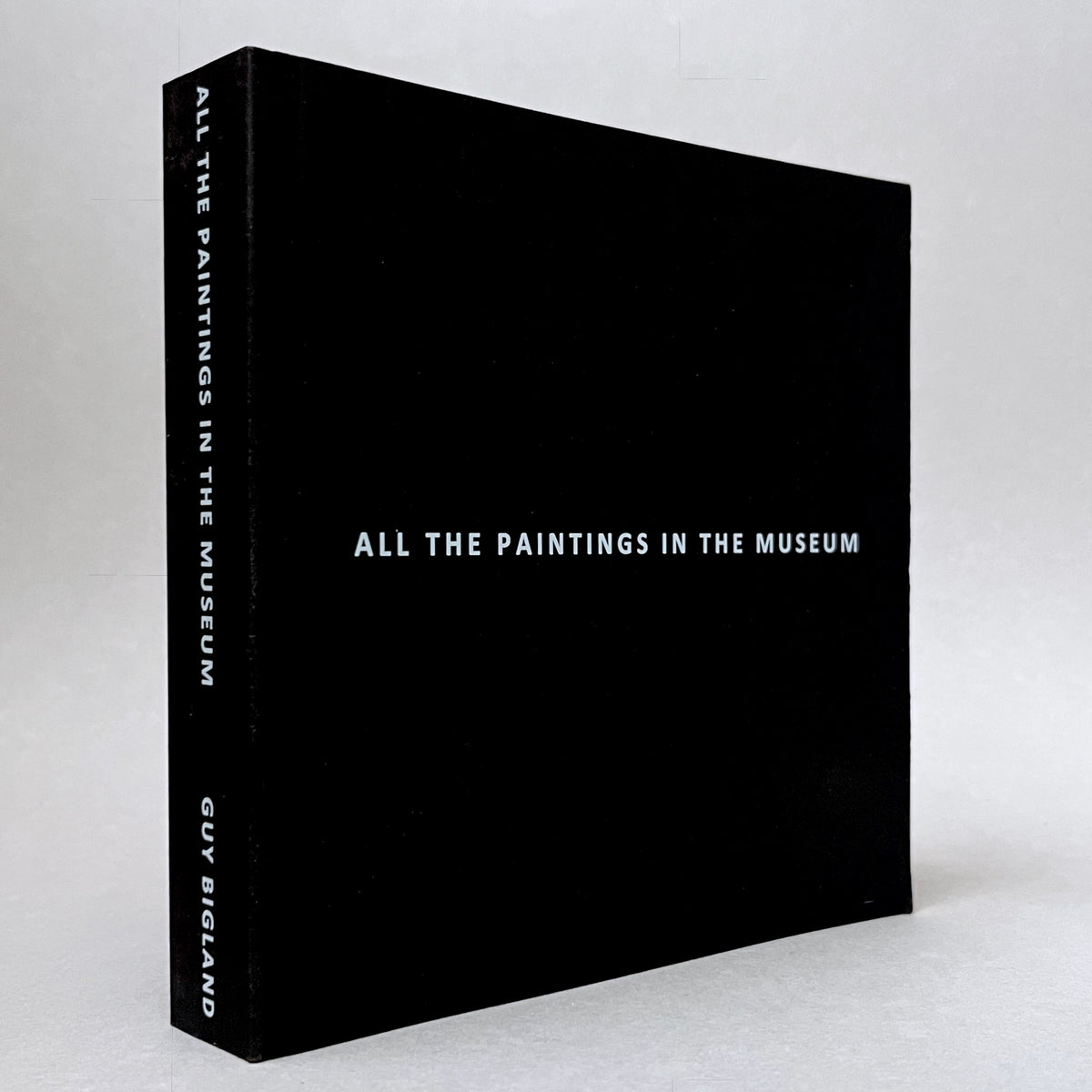 Guy Bigland: All the Paintings in the Museum