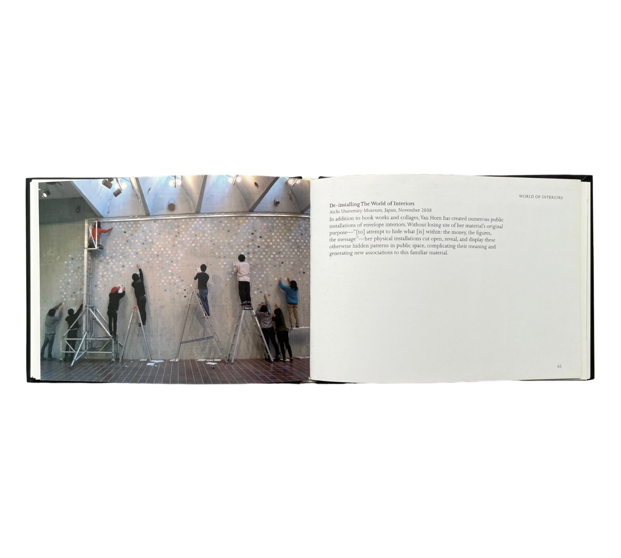 The Book Remembers Everything: The Work of Erica Van Horn