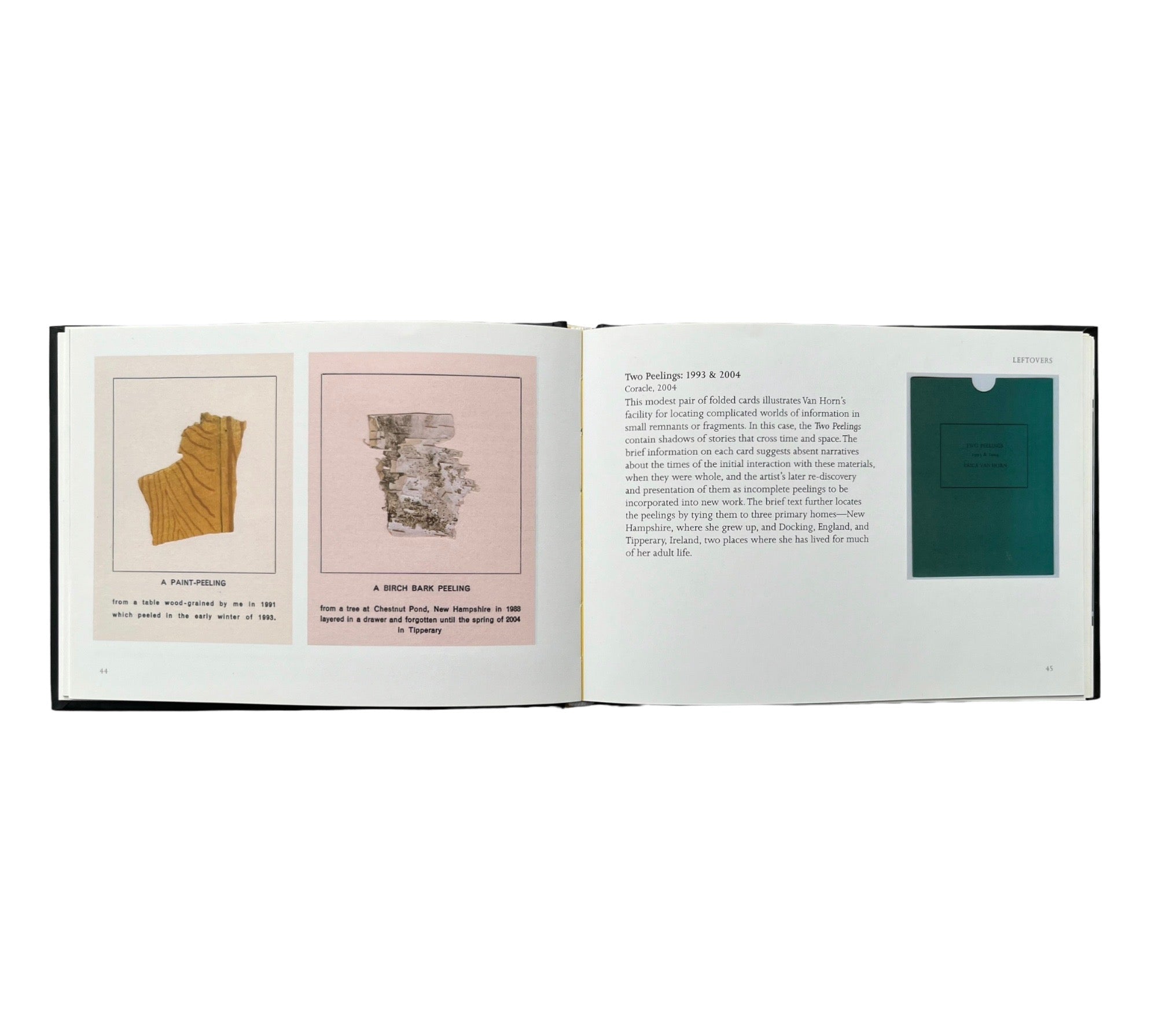 The Book Remembers Everything: The Work of Erica Van Horn