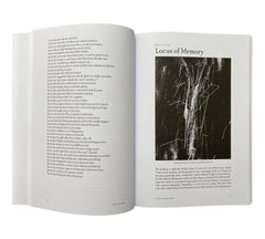 Slow Manifesto: Lebbeus Woods Blog