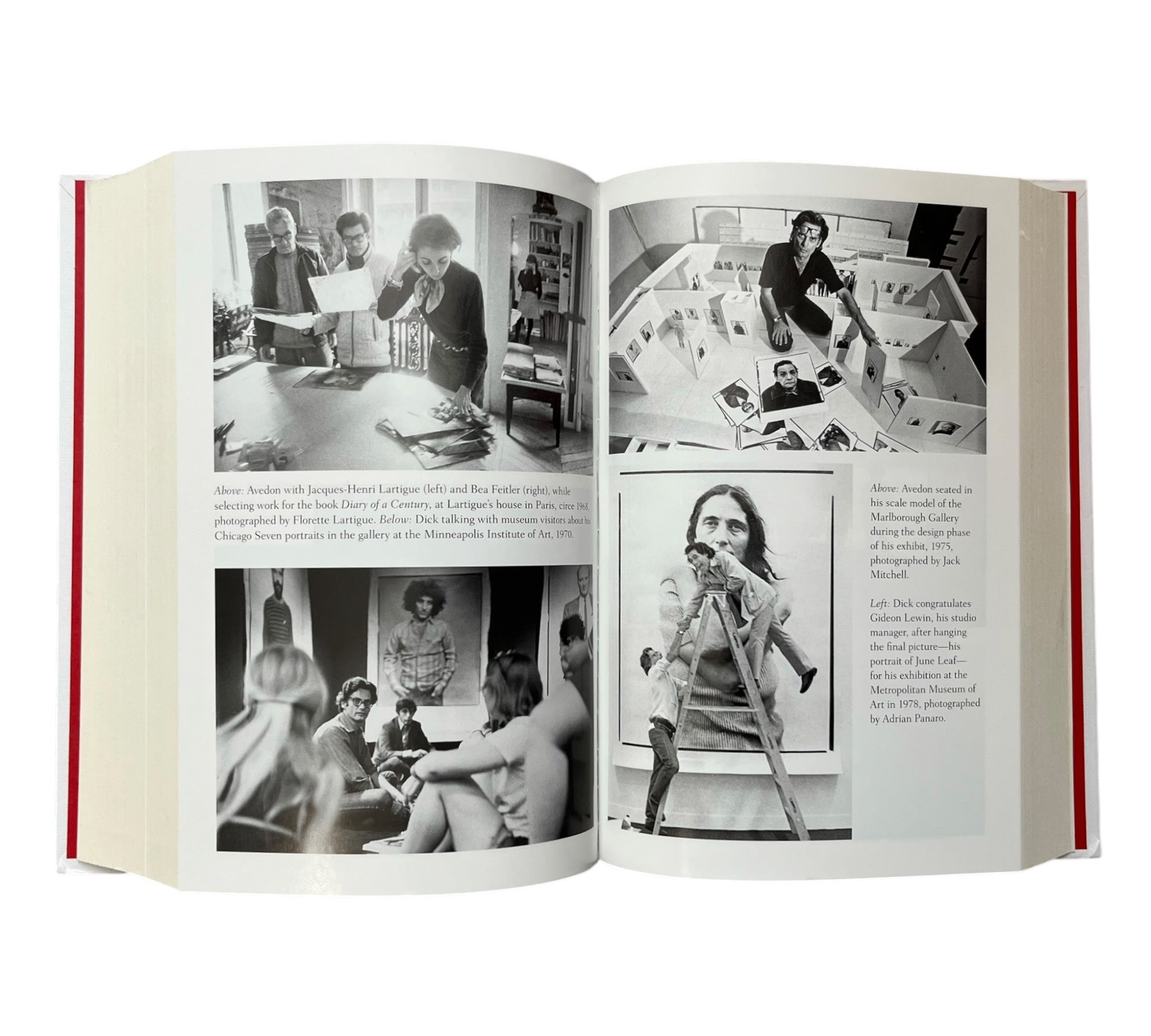 Richard Avedon: What Becomes a Legend Most - A Biography (Non-mint)