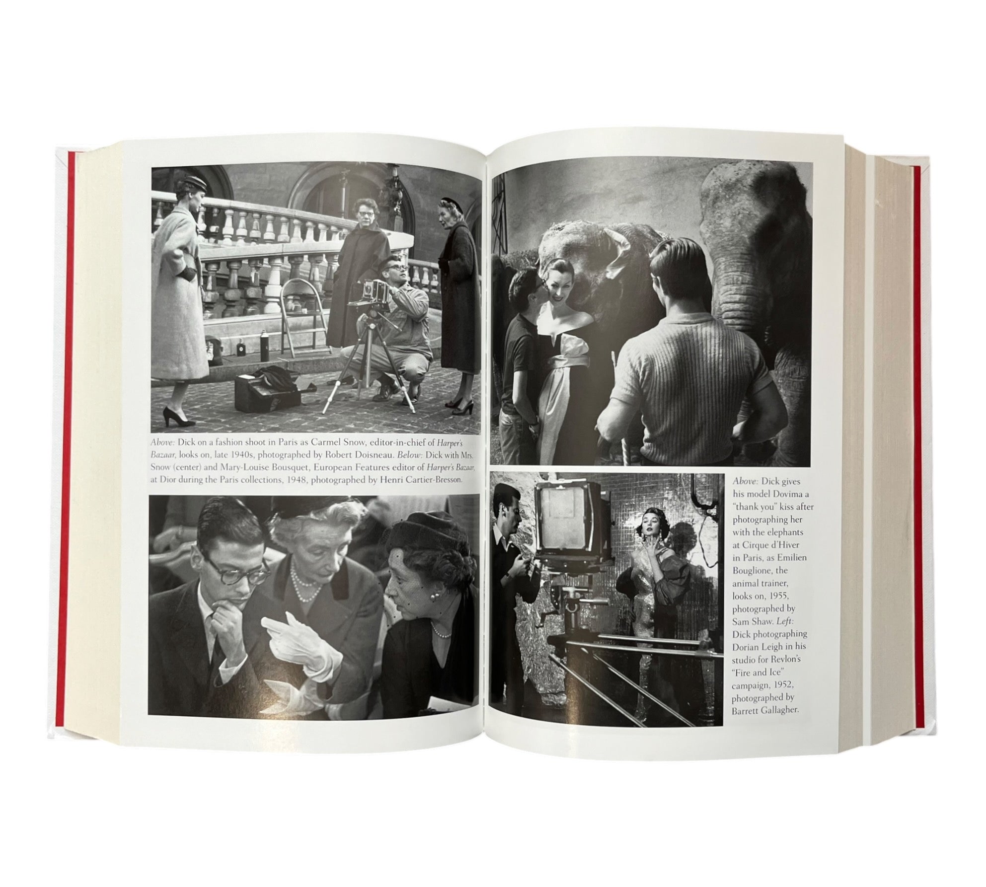 Richard Avedon: What Becomes a Legend Most - A Biography (Non-mint)