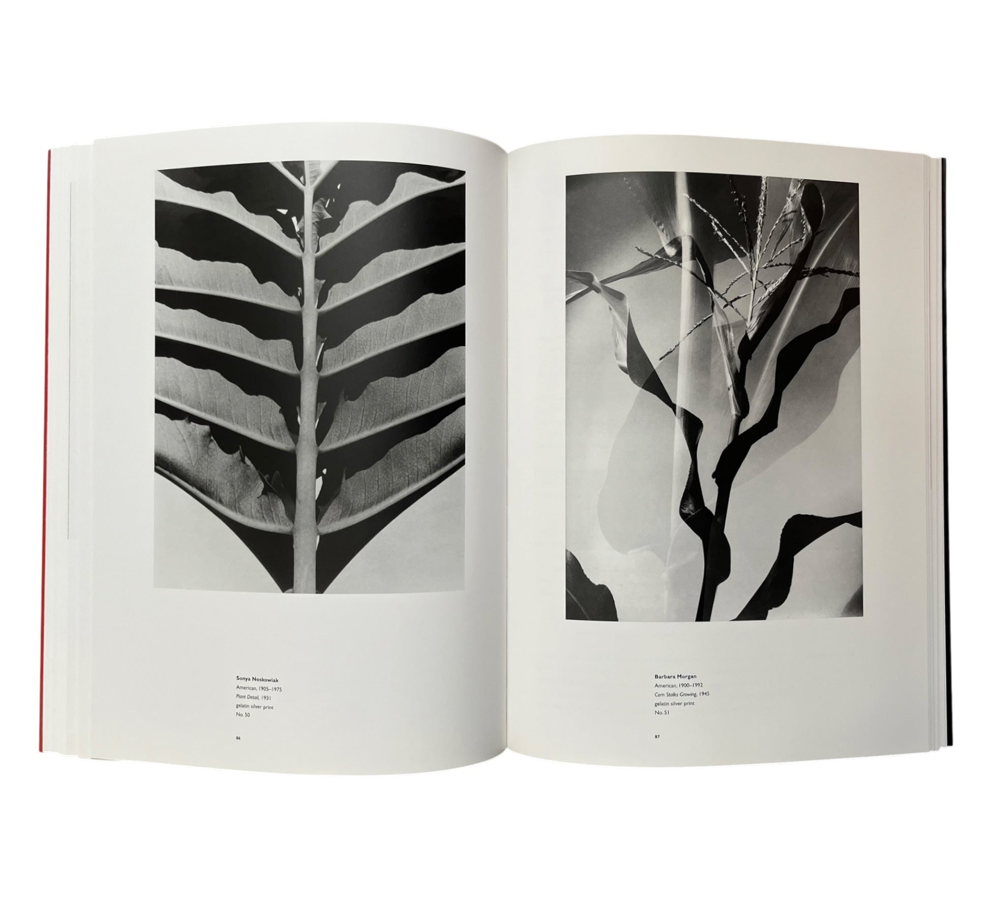 Defining Eye: Women Photographers of the 20th Century (Rare edition)
