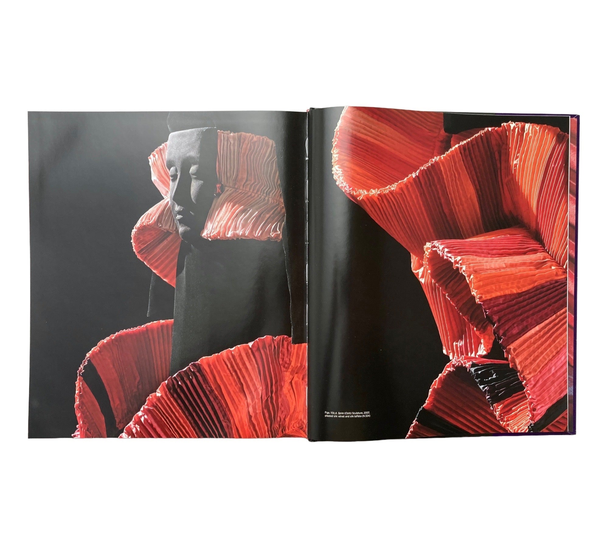 Roberto Capucci: Art into Fashion