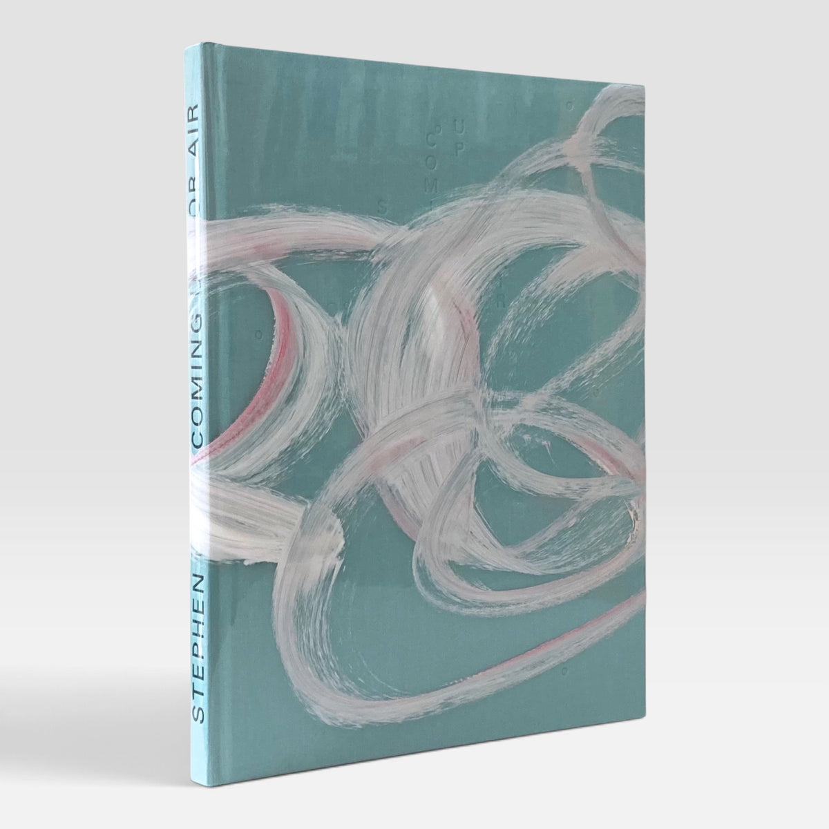 Stephen Gill: Coming up for Air (Rare edition)