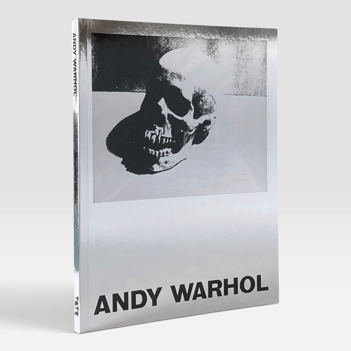 Andy Warhol (Tate Introductions)