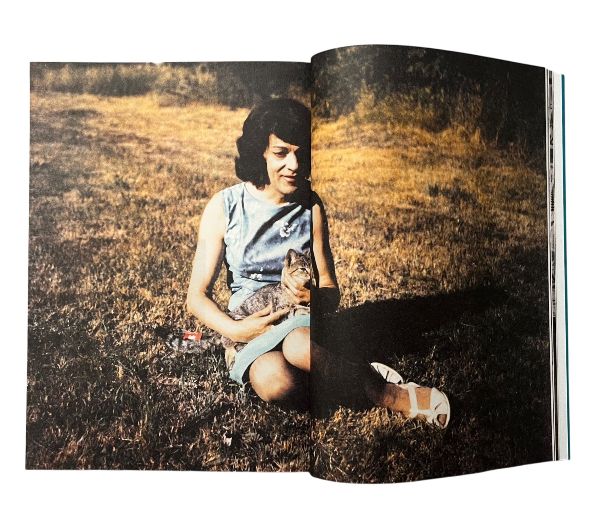 Casa Susanna: The Story of the First Trans Network in the United States, 1959-1968