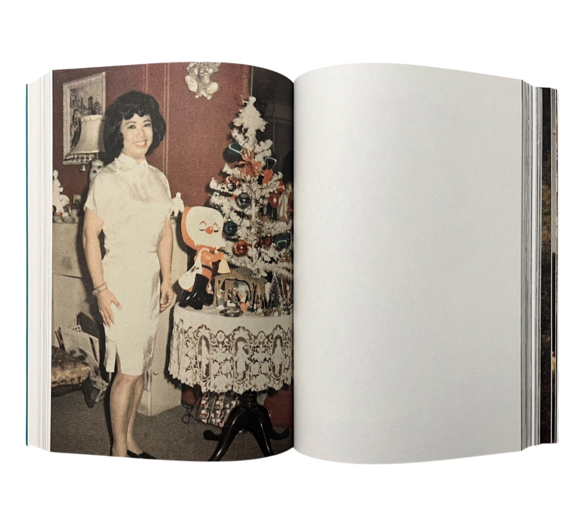 Casa Susanna: The Story of the First Trans Network in the United States, 1959-1968