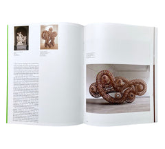 Richard Deacon (Modern Artists series)