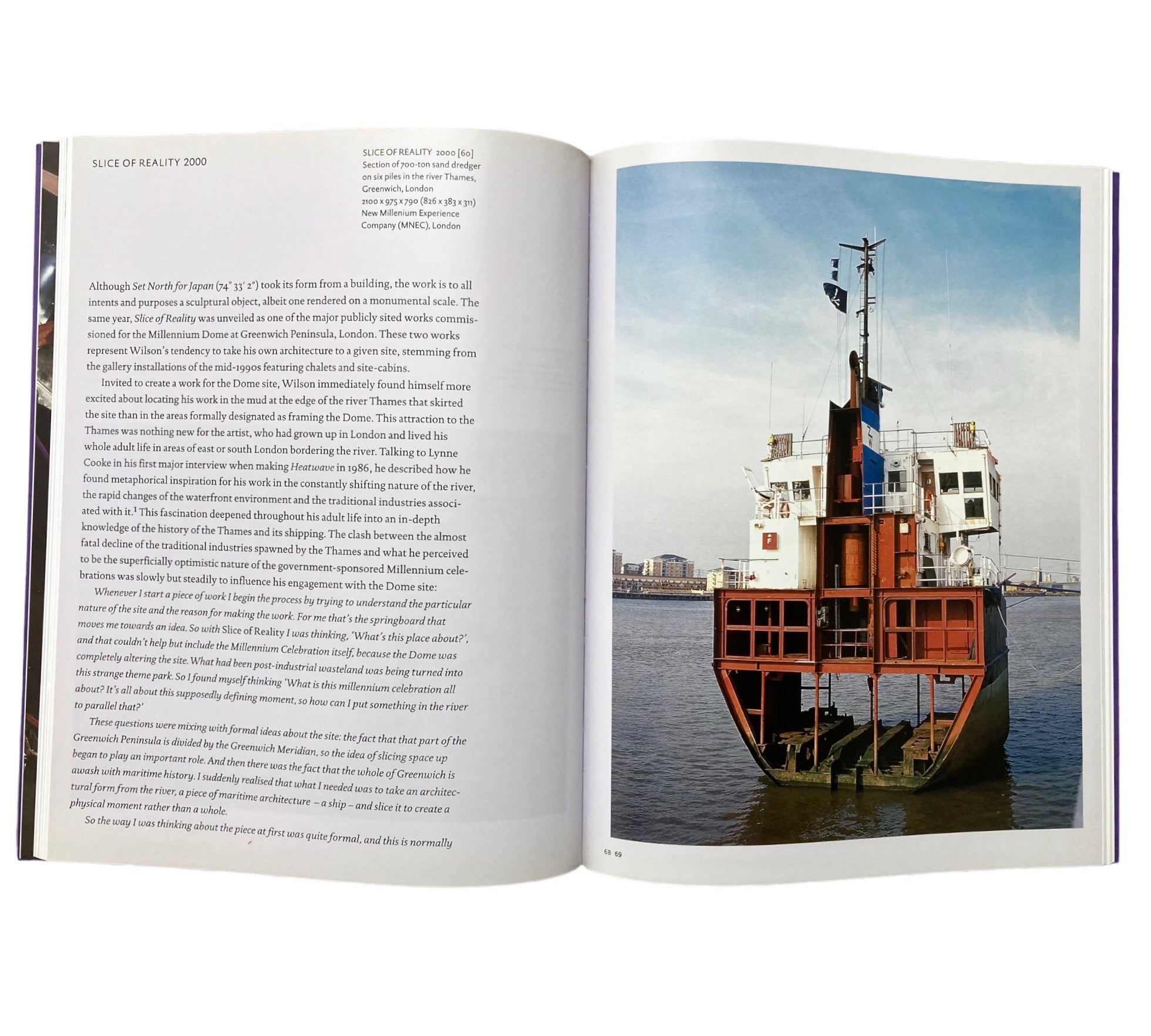 Richard Wilson (Modern Artists Series)