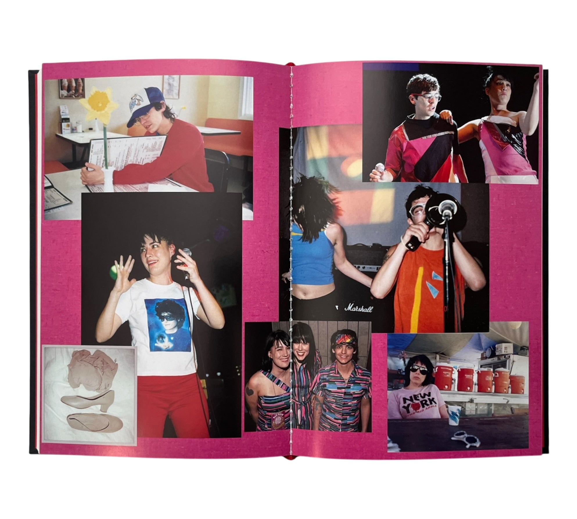 Rebel Girl: My Life as a Feminist Punk