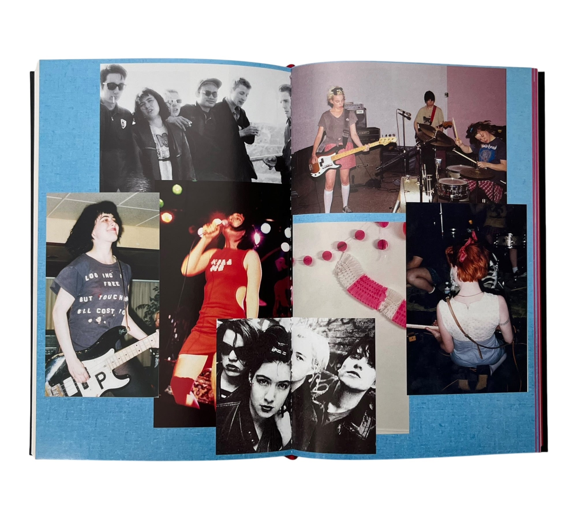 Rebel Girl: My Life as a Feminist Punk