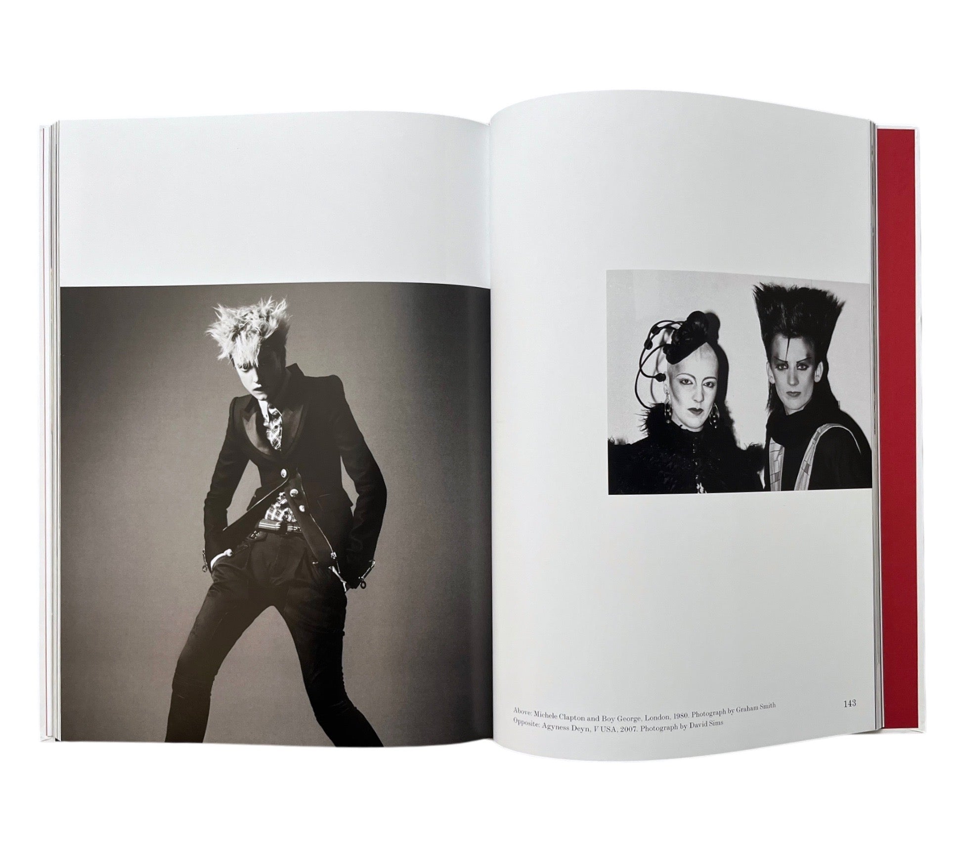 Androgyne: Fashion and Gender