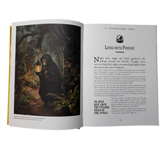 Monumental: Power, Corruption & the Struggle for a Just Society