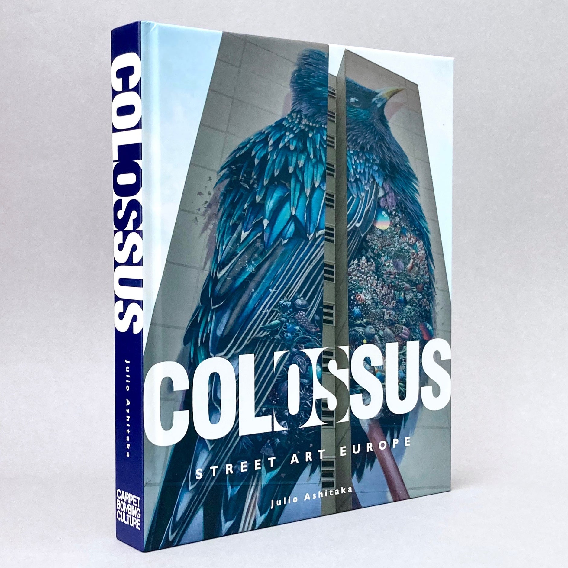 新品未開封 絶版本 STREET ART LOFT PUBLICATIONS copy-of-p2020668.jpg