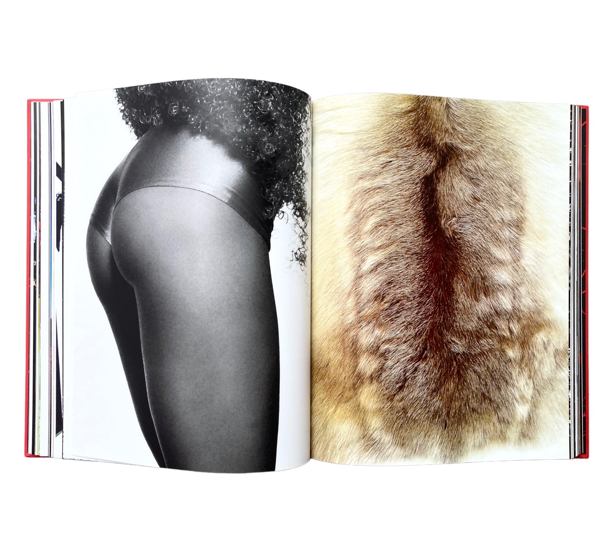 Peter Gravelle: The Death of Photography (Non-mint)
