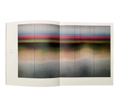 Liu Wei: Colors (Non-mint)