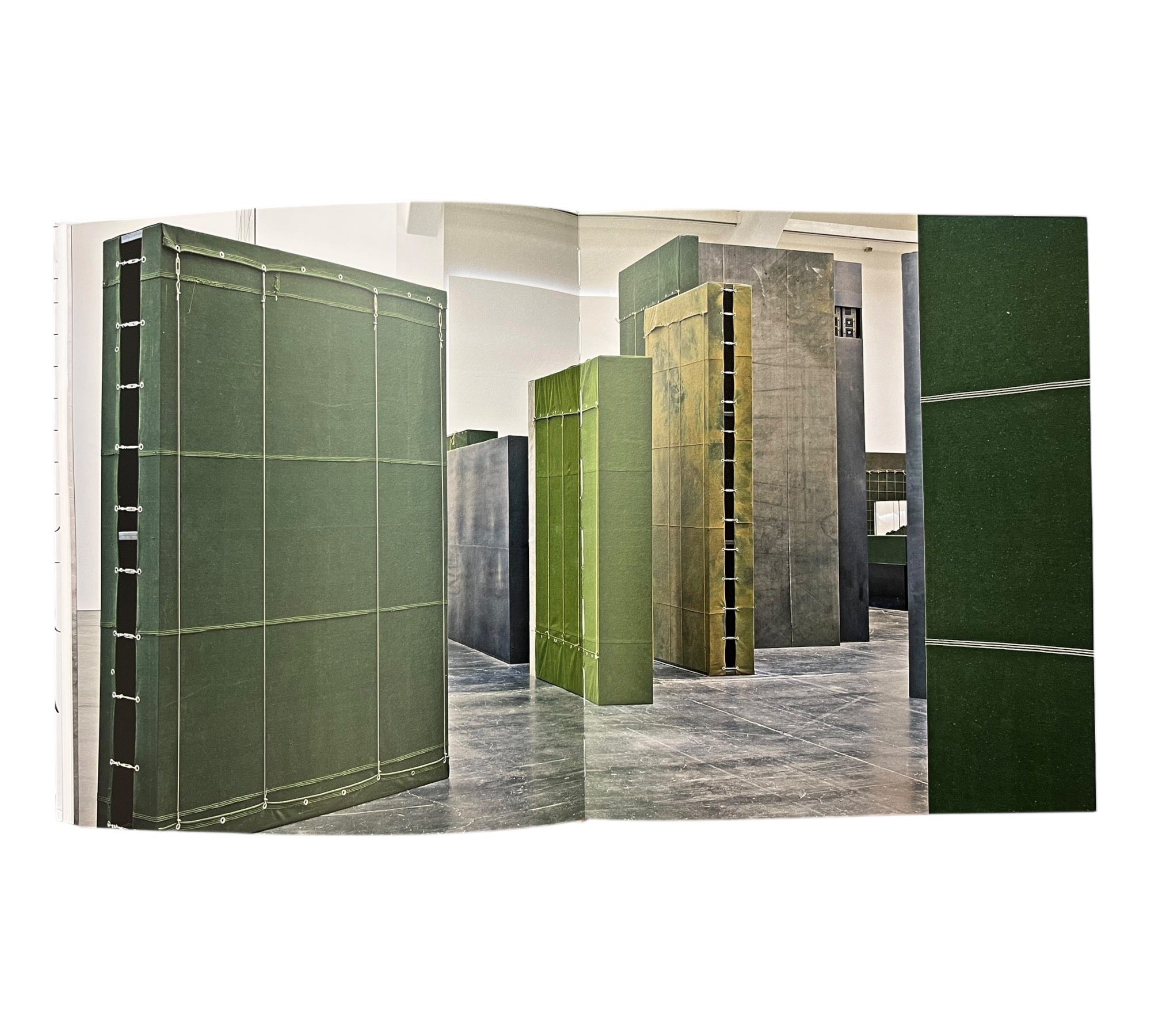 Liu Wei: Colors (Non-mint)